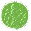 green 2