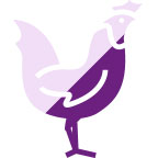 ing-chicken antibiotic and hormone-free chicken