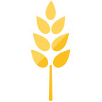 paper-wheat wheat fiber waste compostable plates