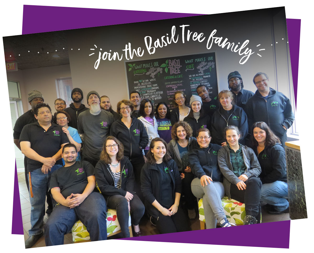 Basil Tree staff Basil Tree jobs